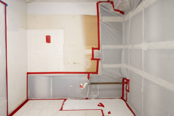 Best Mold Removal for HVAC Installations  in Selma, TX