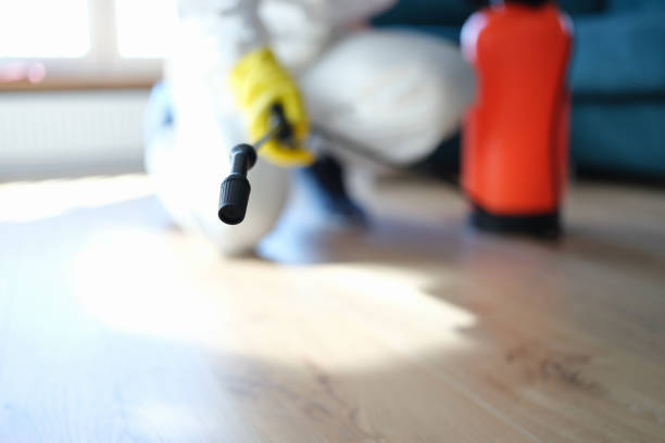 Best Asbestos and Lead Testing During Mold Inspection  in Selma, TX