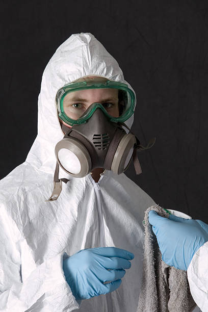 Mold Remediation for Vacation Homes